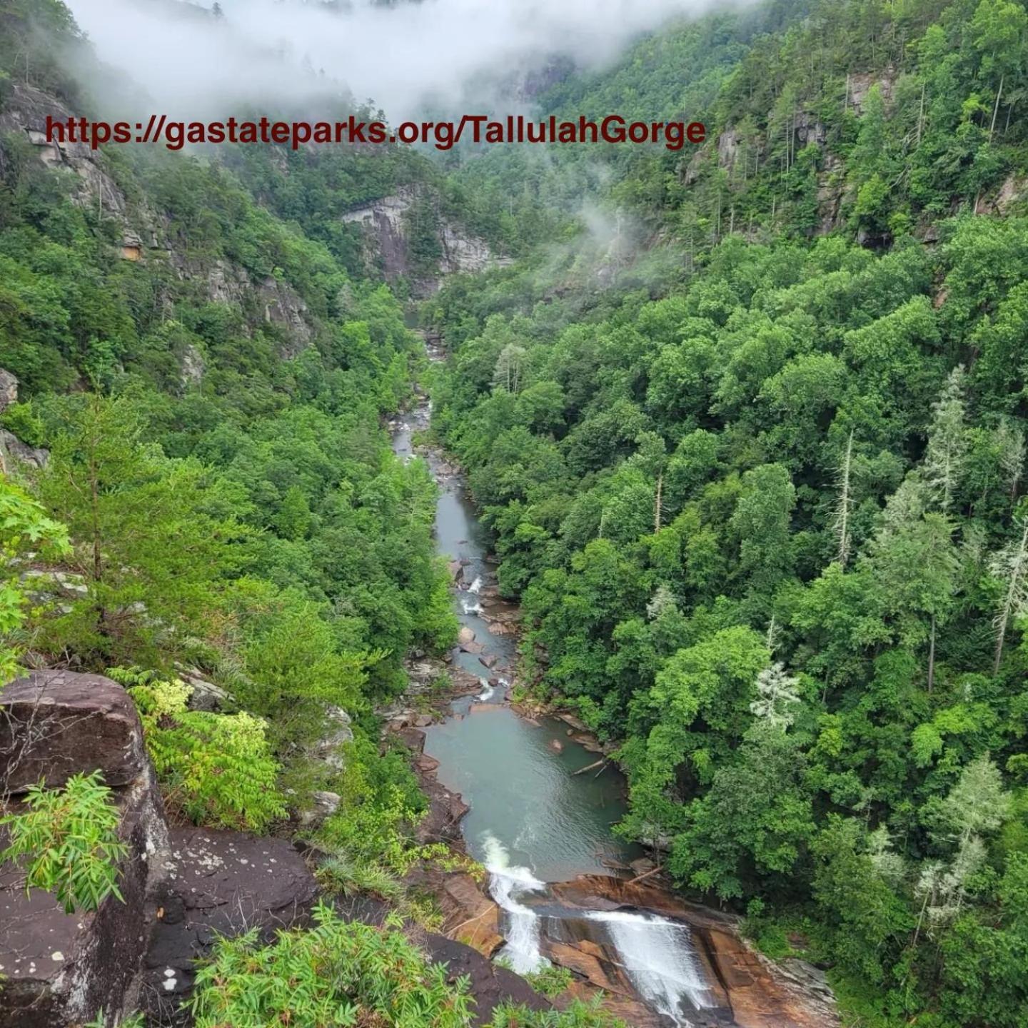 Mountain Valley Inn Dillard Luaran gambar